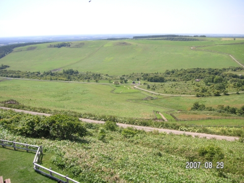 s_PICT0445.jpg